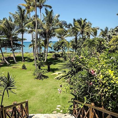 Jasmine La Playita - Ocean Front Leilighet Las Galeras Eksteriør bilde