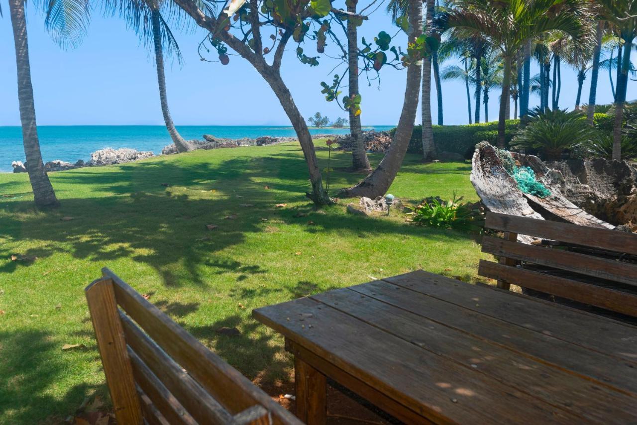 Jasmine La Playita - Ocean Front Leilighet Las Galeras Eksteriør bilde